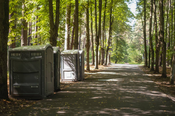 Best Porta potty rental for parties  in Walworth, WI